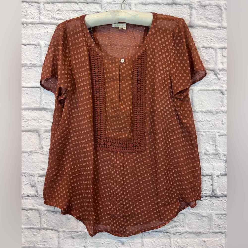 Meadow Rue Anthropologie sheer brown short sleeve dot blouse crocheted Sz L A227